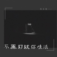 不再打扰你生活 - Single - 苏小纯