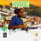 Digdin (feat. Dj Ralph) - A Nuvven & VVitinho lyrics