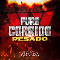Puro Corrido Pesado (En Vivo) - Quinta Alianza