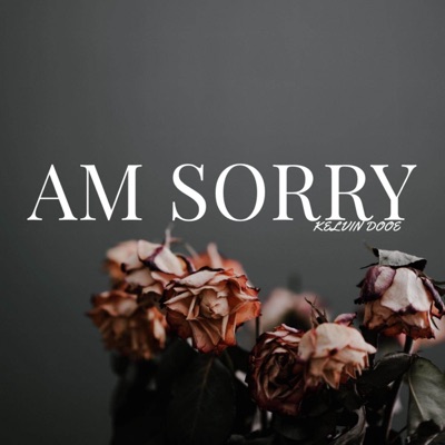 Am Sorry - Single