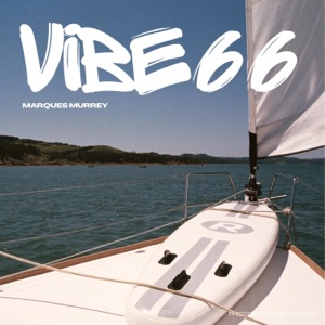 Vibe 66 - Single