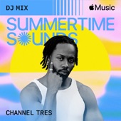 Summertime Sounds 2023 (DJ Mix) artwork