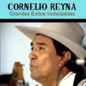 Cornelio Reyna - Mi Tesoro