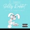 Silly Rabbit (feat. P Dawggg & Statthephenom) - D.Jamaal lyrics