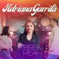 Iubirea mea