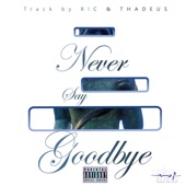 Never Say Goodbye - Single