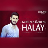 Halay artwork