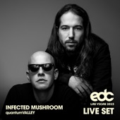 Infected Mushroom at EDC Las Vegas 2023: Quantum Valley Stage (DJ Mix) artwork