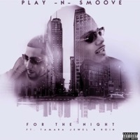 For the Night (feat. Tamara Jewel & Roin) - Single - PlayNSmoove