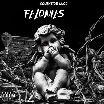 Felonies - Single