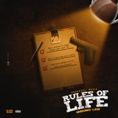 Rules of Life artwork