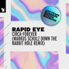 Circa - Forever (Markus Schulz Down the Rabbit Hole Extended Remix) - Rapid Eye