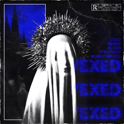 VEXED! (feat. ZxiiD & FL.VCO) - Single