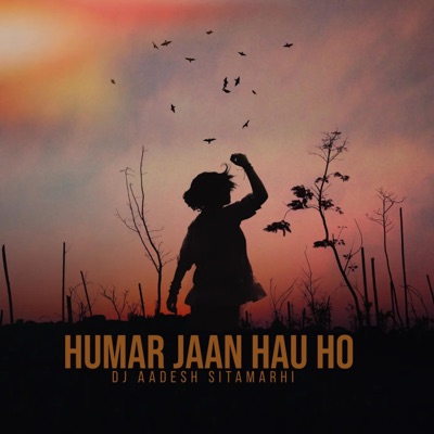 DJ Aadesh Sitamarhi - Humar Jaan Hau Ho (Romentic Version)