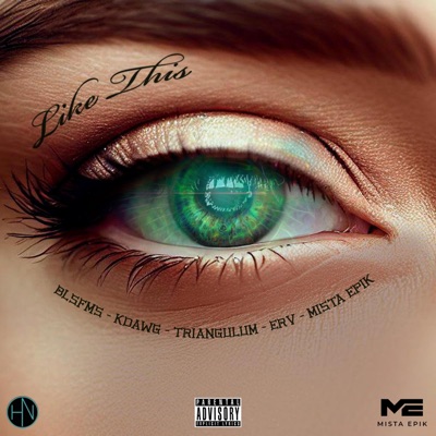 Like This (feat. BLSFMS, KDAWG, TRIANGULUM & ERV) - Single