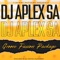 Dior (feat. Aux Drumboss & Deejay XilaR) - Dj Aplex lyrics