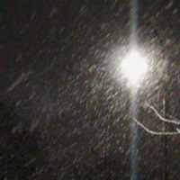 What on Earth - Single - herodose