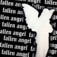 Fallen Angel - Single - DEN YARA & SHADOWIXX