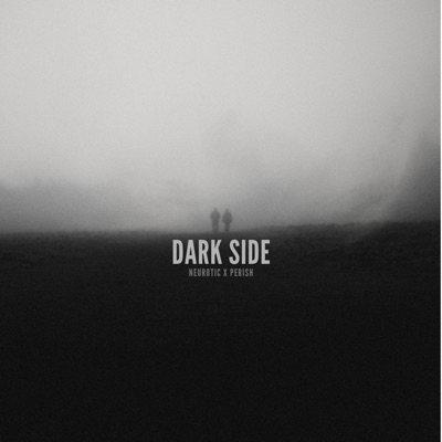 Dark Side (feat. Perish) - Single
