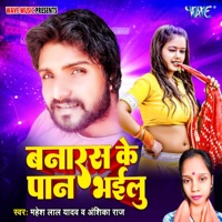 Banaras Ke Paan Bhailu - Single - Mahesh Lal Yadav & Anshika Raj