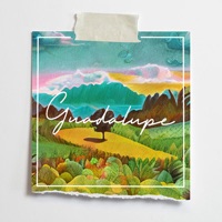 Guadalupe - Single - Colectivo Panamera