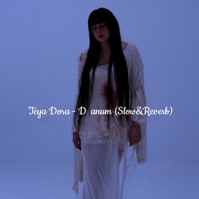 Rasmi264 - Džanum (Slowed&Reverb)