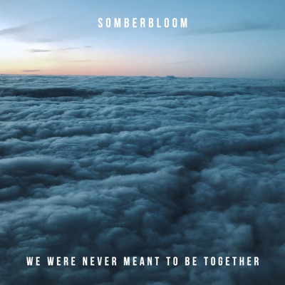 We Were Never Meant To Be Together - Single