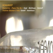 Schubert: Piano Trio No. 1, D. 898 & Trockne Blumen, D. 802 (Live) artwork