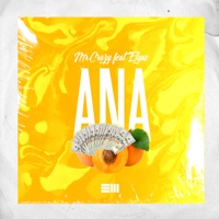 Ana (feat. Mr.crazy, Elyas) - Single - Koche.Rec Music