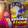 Dabang Jila He Re Pagli - Single