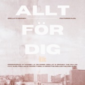 Allt för dig (feat. Njol & Masse) artwork