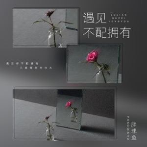 遇见不配拥有 - Single