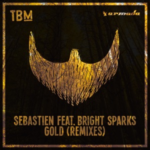 Gold (feat. Bright Sparks) [Remixes] - Single