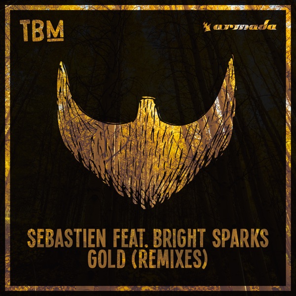 Gold (feat. Bright Sparks) [Remixes] - Single