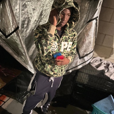 Phone Fights - Single