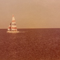 The archives, Vol. 2 - Single - backyard beetle