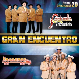Gran Encuentro (20 Éxitos Originales)