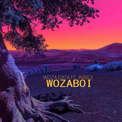 WozaBoi (feat. JnrBoi) - Single