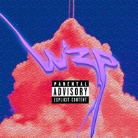 Wzp - Single - Curt Thomas