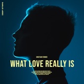 What Love Really Is (Radio Edit) artwork