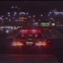 ALL ABOUT MY BUSINESS Trippymane