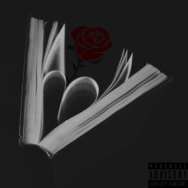 Wanna Know Ryan 6rant