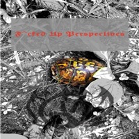 F****d Up Perspectives - Single - J. R. Wonder