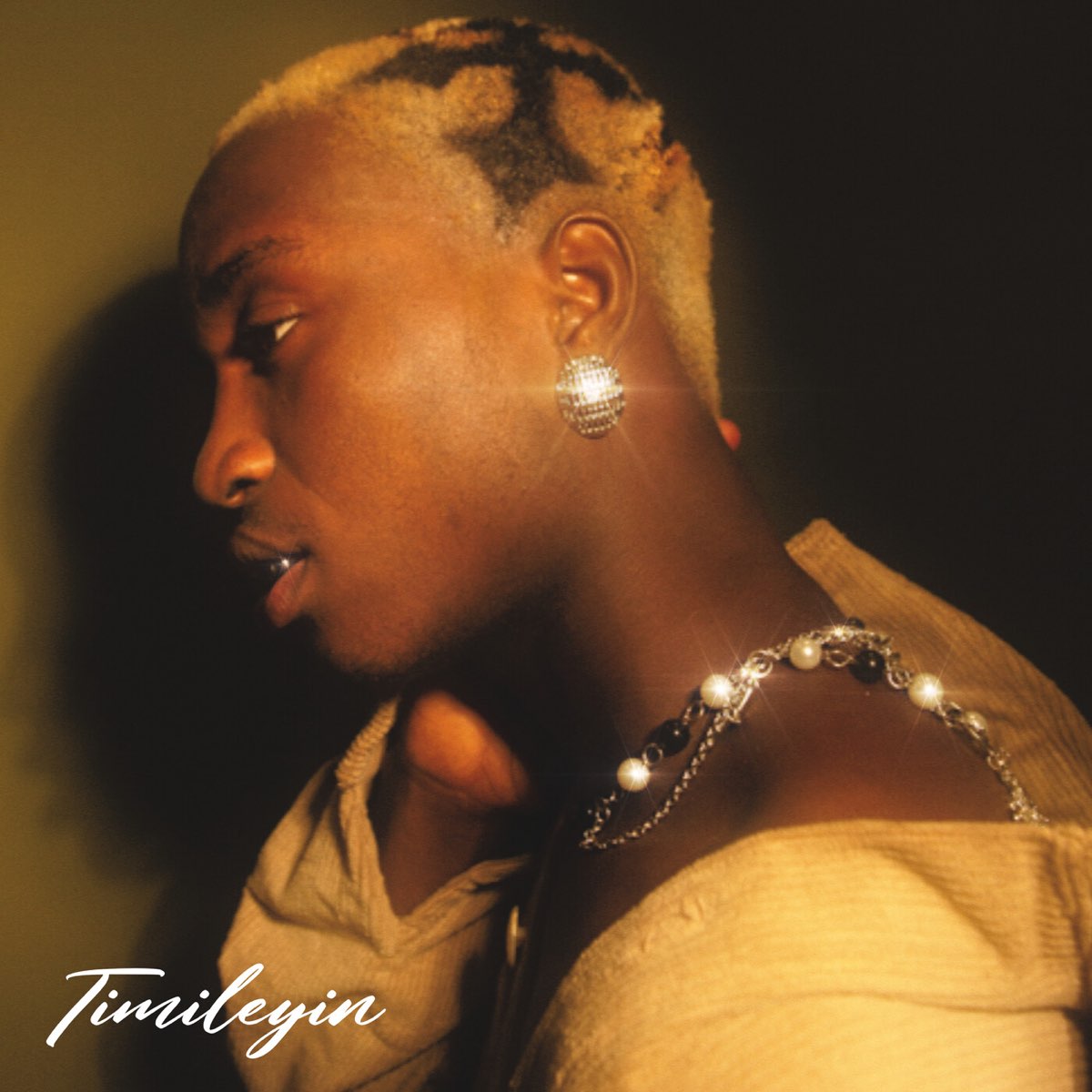 ‎Timileyin EP Album by Tml Vibez Apple Music