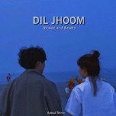 Dil Jhoom (Slowed and Reverb) artwork
