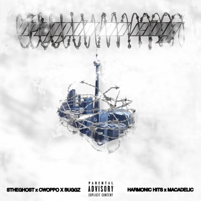 TRAPPIN ON KING (feat. STheGhost, Cwoppo, Buggz & Harmonic Hits) - Single