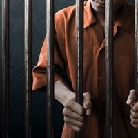 Svoboda - Single - Dynamic