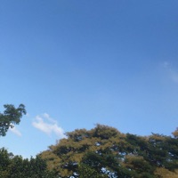 Losing You - Single - Krist