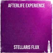 Afterlife Experience artwork