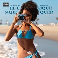 Ela Sabe o Que Quer - Single - Mc BD, Mc W.O & Billy waah